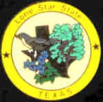 TEXAS PIN STATE EMBLEM TEXAS PIN